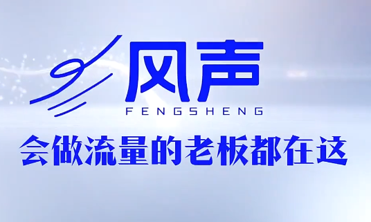董十一·风声短视频AI获客年度会员-桀创项目掘金社