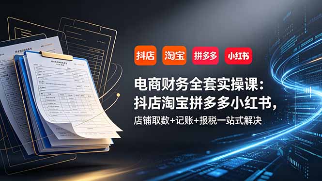 电商财务全套实操课：抖店淘宝拼多多小红书，店铺取数+记账+报税一站式解决-桀创项目掘金社