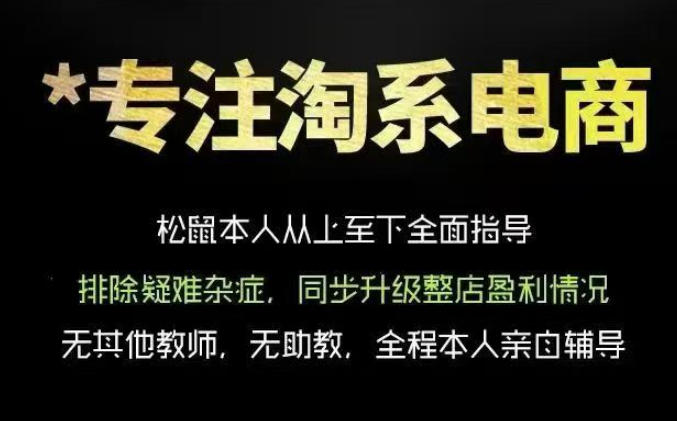 松鼠会电商VIP课程，从基础布局到高阶优化，助你掌握淘宝运营逻辑，提升店铺流量与转化(更新0815)-桀创项目掘金社
