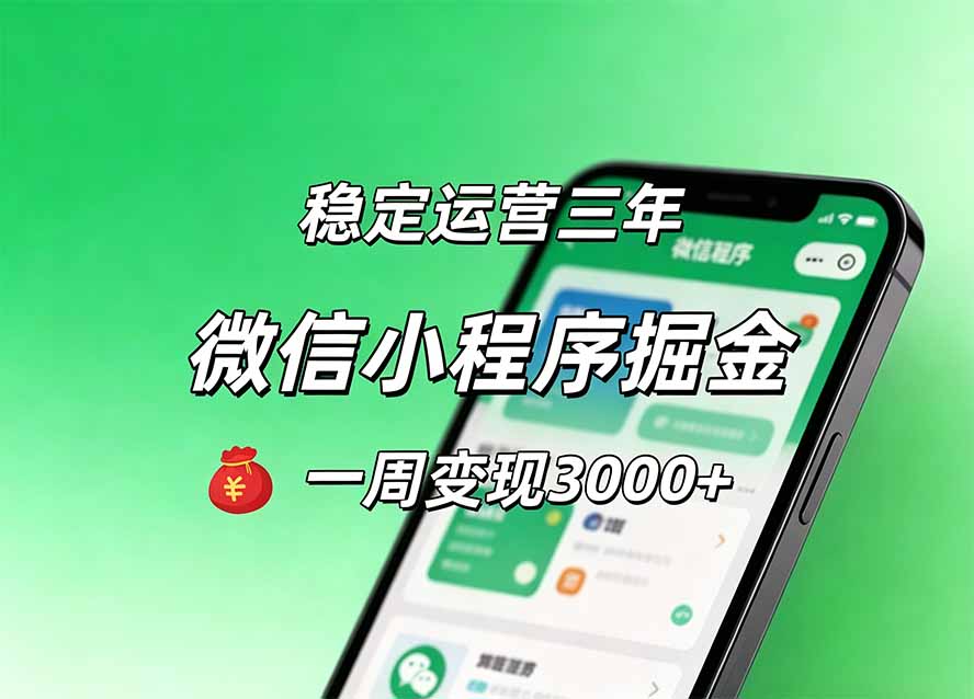 月收益稳定1W+的微信小程序，前期积累客户，后期躺平养老，小白轻松上手-桀创项目掘金社