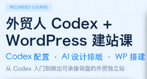 大卫·外贸人Codex + WordPress建站课(更新8月)-桀创项目掘金社