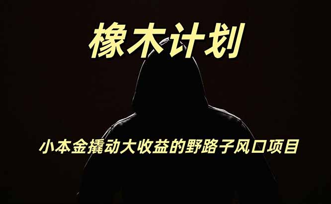 橡木计划，小投入撬动高回报的风口野路子项目，一天投入2小时左右-桀创项目掘金社