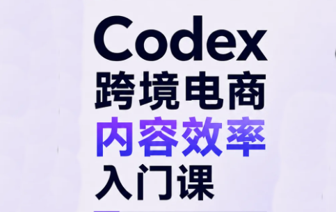 Codex跨境电商内容效率入门课-桀创项目掘金社