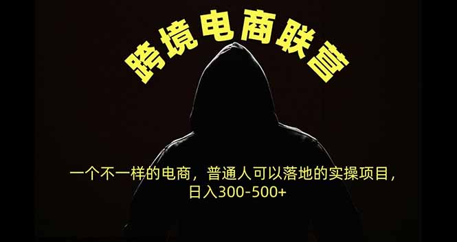 跨境电商联营，一个不一样的电商，普通人可操作日入300-500+-桀创项目掘金社