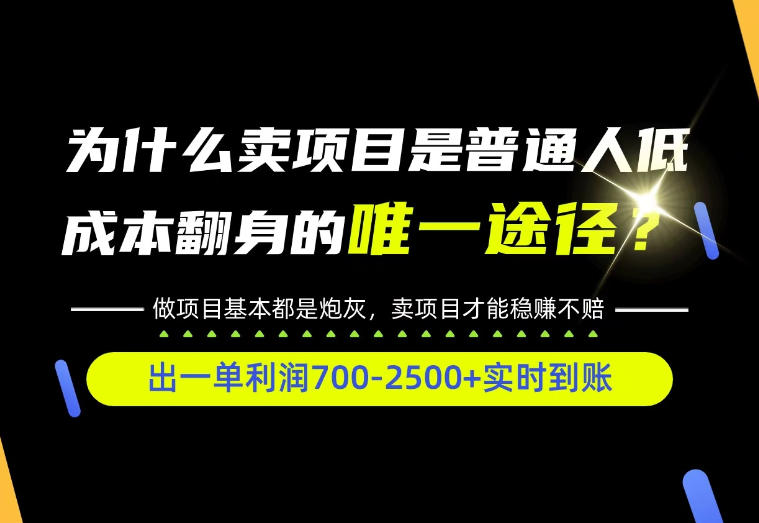 普通人如何靠互联网賺取自己的第一桶金！全类目实操型教学，看完你全都懂了！【揭秘】-桀创项目掘金社
