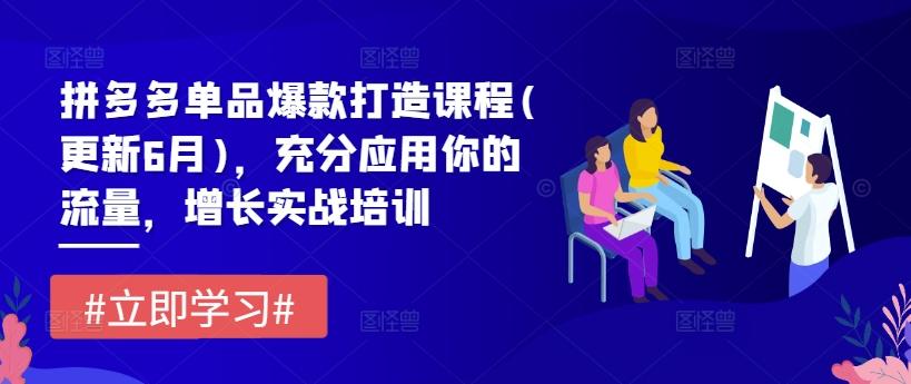 拼多多单品爆款打造课程(更新6月)，充分应用你的流量，增长实战培训-桀创项目掘金社