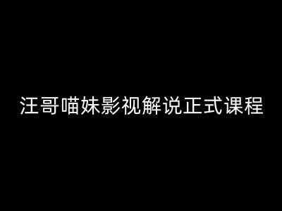 汪哥影视解说正式课程：剪映/PR教学/视解说剪辑5大黄金法则/全流程剪辑7把利器等等-桀创项目掘金社