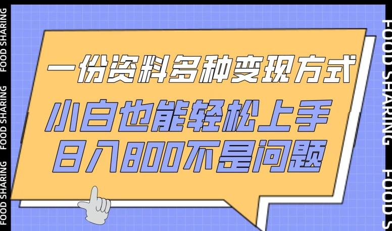一份资料多种变现方式，小白也能轻松上手，日入800不是问题【揭秘】-桀创项目掘金社