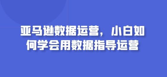 亚马逊数据运营，小白如何学会用数据指导运营-桀创项目掘金社