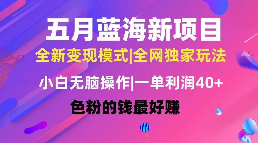 五月蓝海项目全新玩法，小白无脑操作，一天几分钟，矩阵操作，月入4万+-桀创项目掘金社