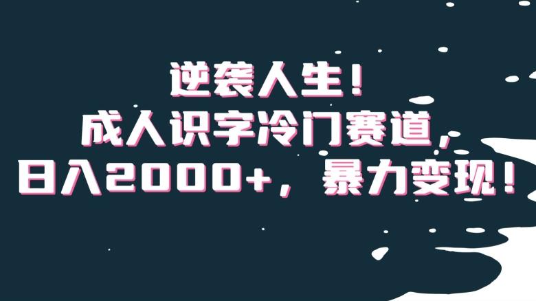 逆袭人生！成人识字冷门赛道，日入2000+，暴力变现！【揭秘】-桀创项目掘金社