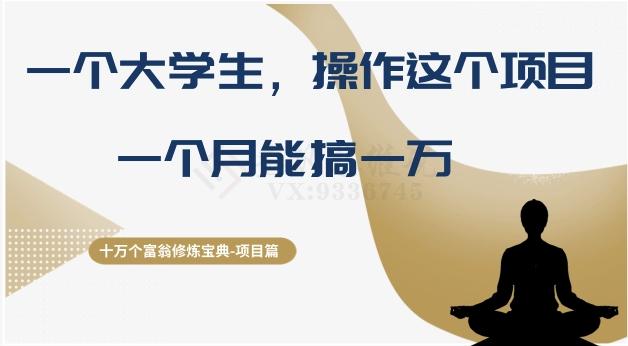十万个富翁修炼宝典之4.一个大学生操作这个项目，一个月能搞一万-桀创项目掘金社
