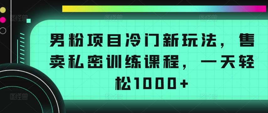 男粉项目冷门新玩法，售卖私密训练课程，一天轻松1000+【揭秘】-桀创项目掘金社