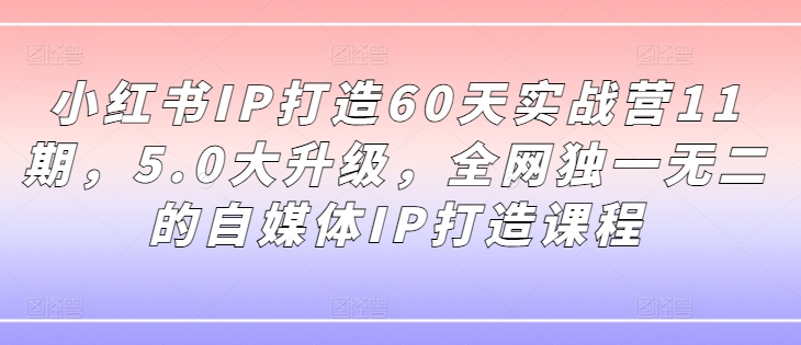 小红书IP打造60天实战营11期，5.0大升级，全网独一无二的自媒体IP打造课程-桀创项目掘金社