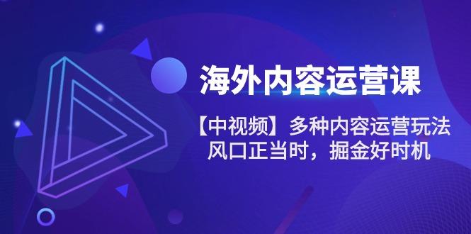 海外内容 运营课【中视频】多种内容运营玩法 风口正当时 掘金好时机-101节-桀创项目掘金社