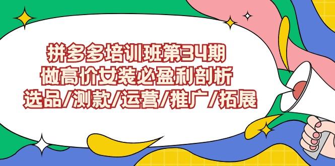 (9333期)拼多多培训班第34期：做高价女装必盈利剖析  选品/测款/运营/推广/拓展-桀创项目掘金社