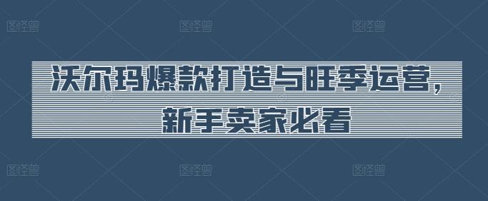 沃尔玛爆款打造与旺季运营，新手卖家必看-桀创项目掘金社
