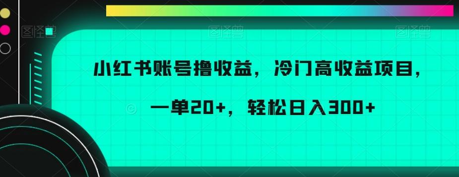 小红书账号撸收益，冷门高收益项目，一单20+，轻松日入300+【揭秘】-桀创项目掘金社
