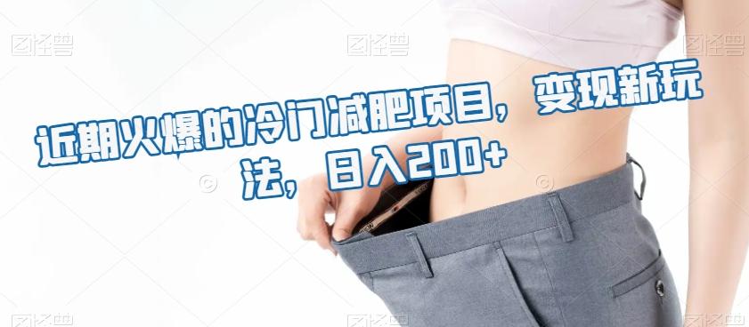 近期火爆的冷门减肥项目，变现新玩法，日入200+-桀创项目掘金社