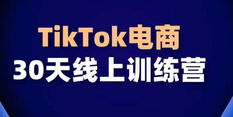 TikTok电商带货30天线上课，不可错过的全球流量洼地！-桀创项目掘金社