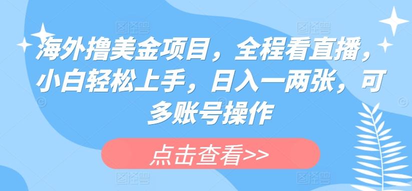 海外撸美金项目，全程看直播，小白轻松上手，日入一两张，可多账号操作【揭秘】-桀创项目掘金社
