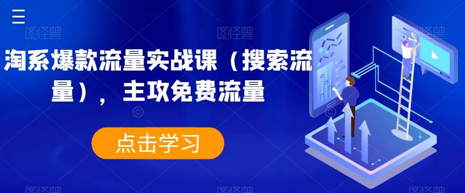 淘系爆款流量实战课（搜索流量），主攻免费流量-桀创项目掘金社