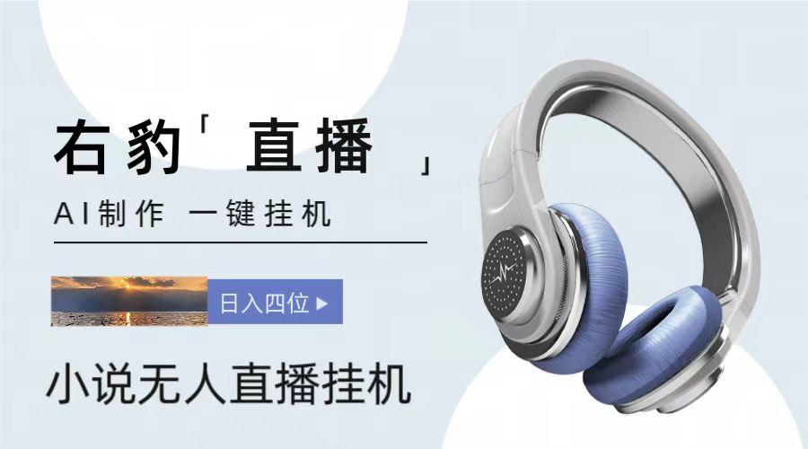 右豹小说无人直播挂机吸金项目，简单易行收益稳定， 月入1000+-桀创项目掘金社