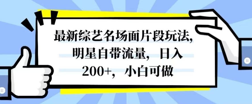 最新综艺名场面片段玩法，明星自带流量，日入200+，小白可做【揭秘】-桀创项目掘金社