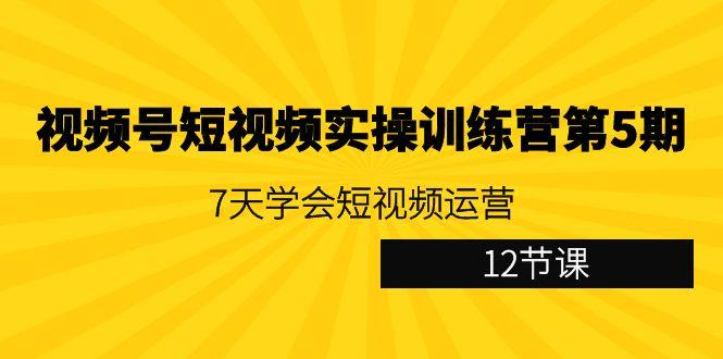 视频号短视频实操训练营第5期：7天学会短视频运营(12节课)-桀创项目掘金社