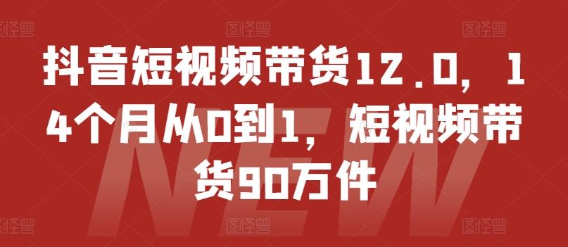 抖音短视频带货12.0，14个月从0到1，短视频带货90万件-桀创项目掘金社