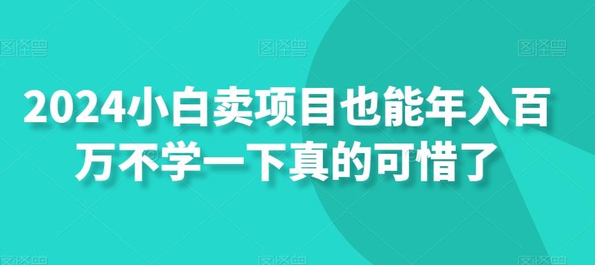 2024小白卖项目也能年入百万不学一下真的可惜了-桀创项目掘金社