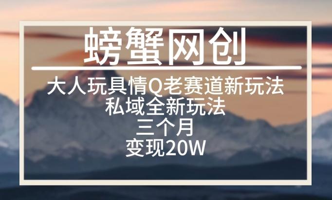 大人玩具情Q用品赛道私域全新玩法，三个月变现20W，老项目新思路【揭秘】-桀创项目掘金社