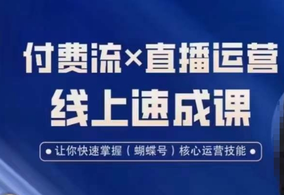视频号付费流实操课程，付费流✖️直播运营速成课，让你快速掌握视频号核心运营技能-桀创项目掘金社