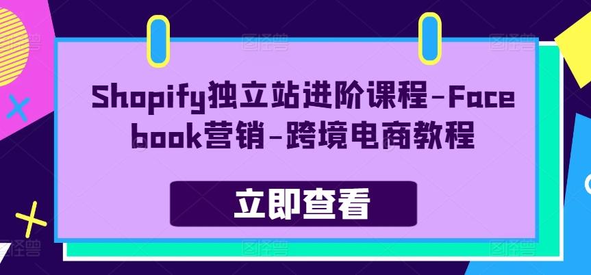 Shopify独立站进阶课程-Facebook营销-跨境电商教程-桀创项目掘金社