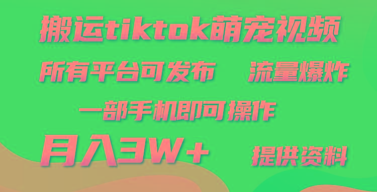 (9618期)搬运Tiktok萌宠类视频，一部手机即可。所有短视频平台均可操作，月入3W+-桀创项目掘金社