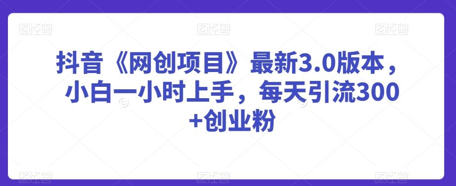 抖音《网创项目》最新3.0版本，小白一小时上手，每天引流300+创业粉【揭秘】-桀创项目掘金社