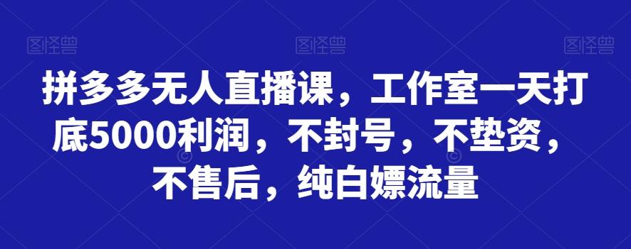 拼多多无人直播课，工作室一天打底5000利润，不封号，不垫资，不售后，纯白嫖流量-桀创项目掘金社