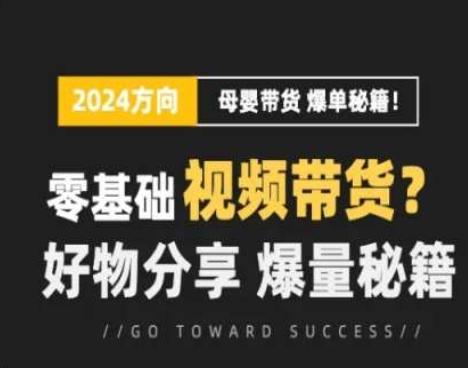 短视频母婴赛道实操流量训练营，零基础视频带货，好物分享，爆量秘籍-桀创项目掘金社