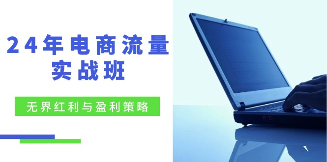 24年电商流量实战班：无界 红利与盈利策略，终极提升/关键词优化/精准…-桀创项目掘金社
