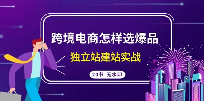 (9369期)跨境电商怎样选爆品，独立站建站实战(20节高清无水印课)-桀创项目掘金社