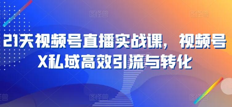 21天视频号直播实战课，视频号X私域高效引流与转化-桀创项目掘金社