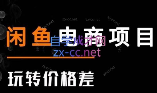 亿创繁星·闲鱼电商项目(玩转价格差)-桀创项目掘金社