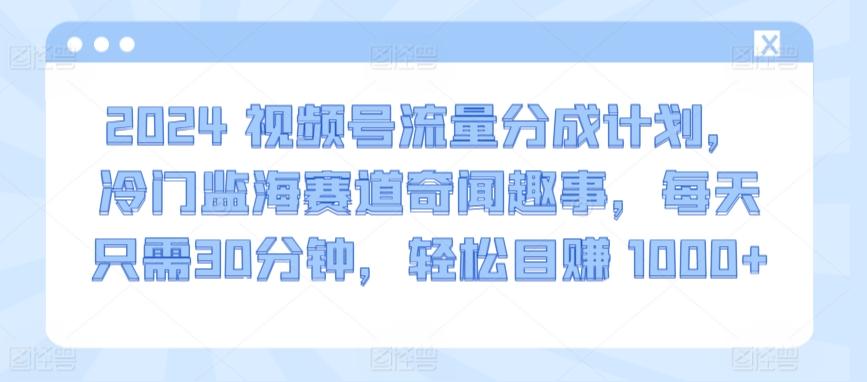 2024视频号流量分成计划，冷门监海赛道奇闻趣事，每天只需30分钟，轻松目赚 1000+【揭秘】-桀创项目掘金社