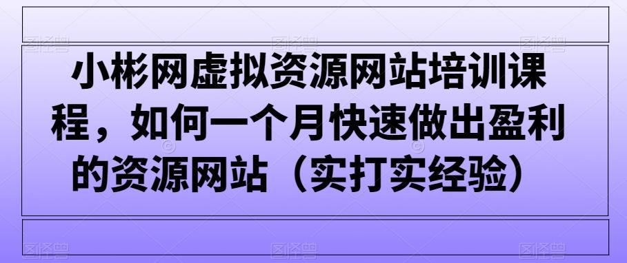 小彬网虚拟资源网站培训课程，如何一个月快速做出盈利的资源网站(实打实经验)-桀创项目掘金社