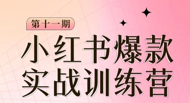小红书博主爆款训练营第11期，手把手教你从0-1做小红书，从定位到起号到变现-桀创项目掘金社