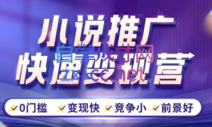 洲洲老师·小说推广快速变现营-桀创项目掘金社