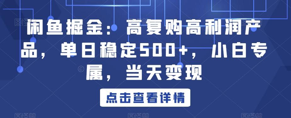 闲鱼掘金：高复购高利润产品，单日稳定500+，小白专属，当天变现-桀创项目掘金社