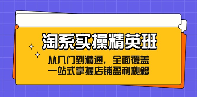 淘系实操精英班：从入门到精通，全面覆盖，一站式掌握店铺盈利秘籍-桀创项目掘金社