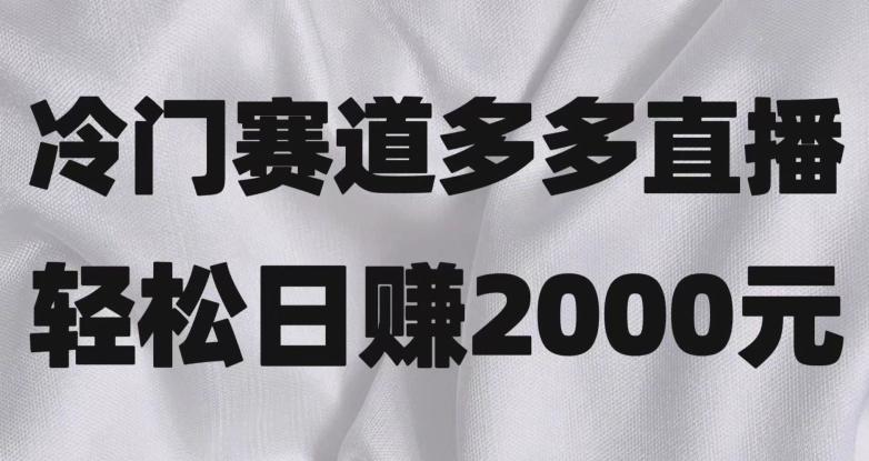 冷门赛道拼多多直播，简单念稿子，日收益2000＋【揭秘】-桀创项目掘金社
