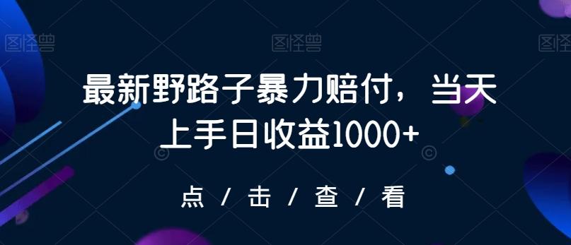 最新野路子暴力赔付，当天上手日收益1000+【仅揭秘】-桀创项目掘金社